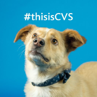 CVSG logo