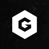 GFIN logo