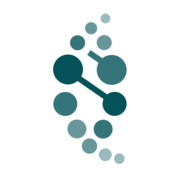 IBT logo
