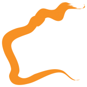 SO4 logo